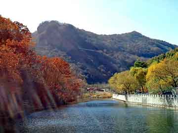 新澳天天开奖资料大全旅游团，动态泛目录